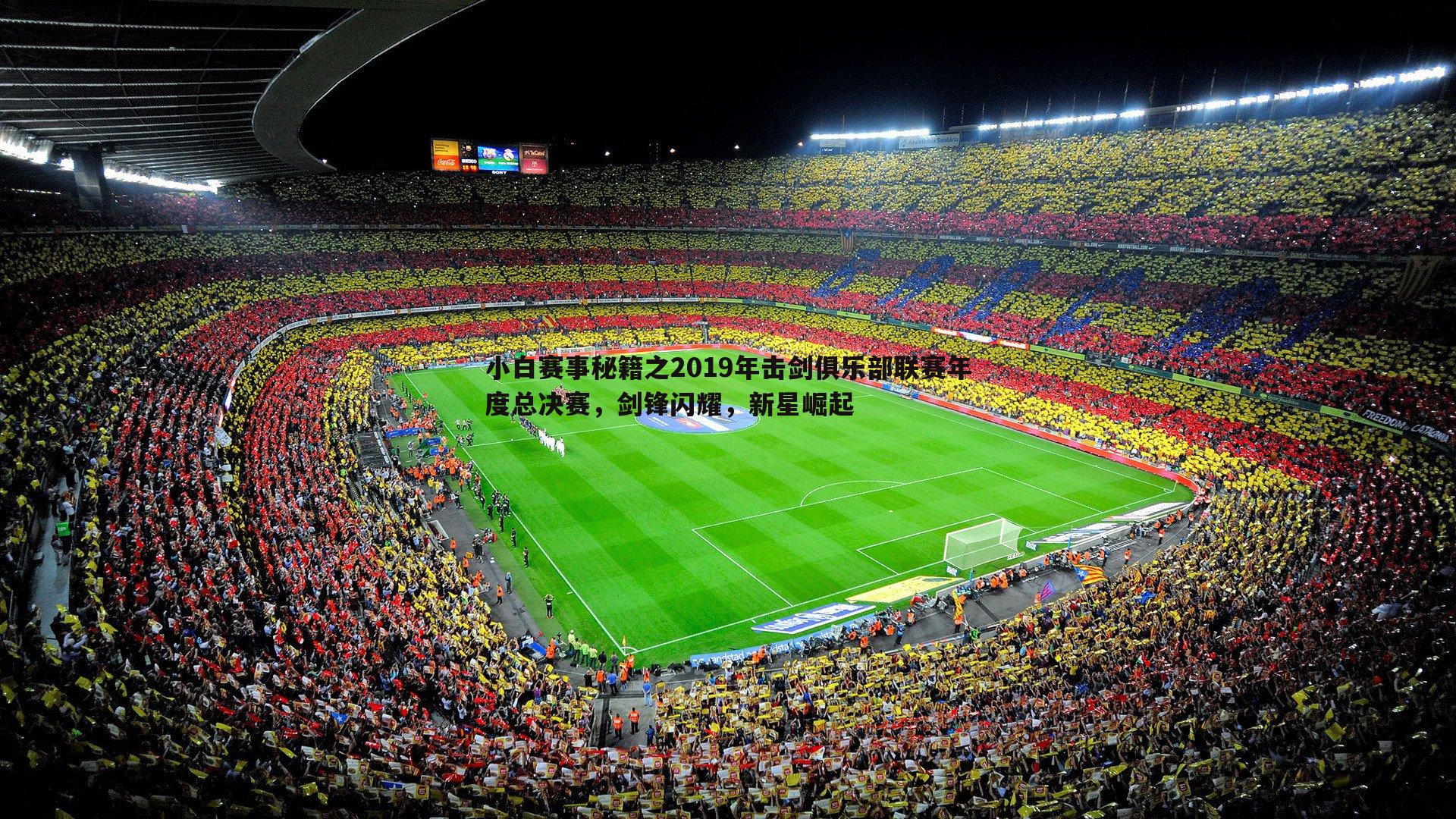 小白赛事秘籍之2019年击剑俱乐部联赛年度总决赛，剑锋闪耀，新星崛起